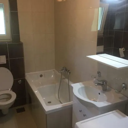 Smjestaj Alekse Santica Guest house *